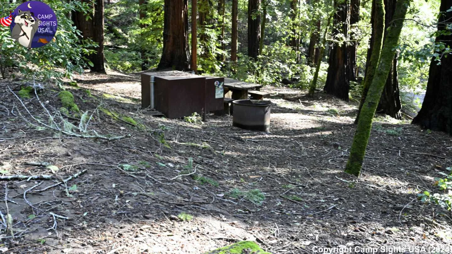 Portola Redwoods Site #40