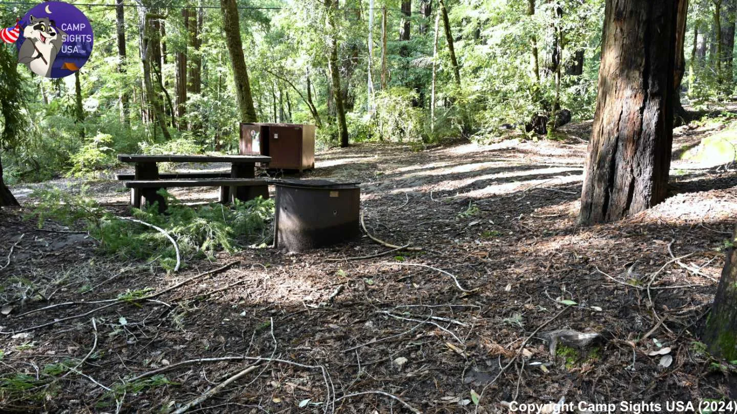 Portola Redwoods Site #41