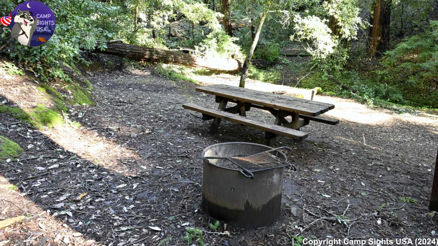 Portola Redwoods Site #42