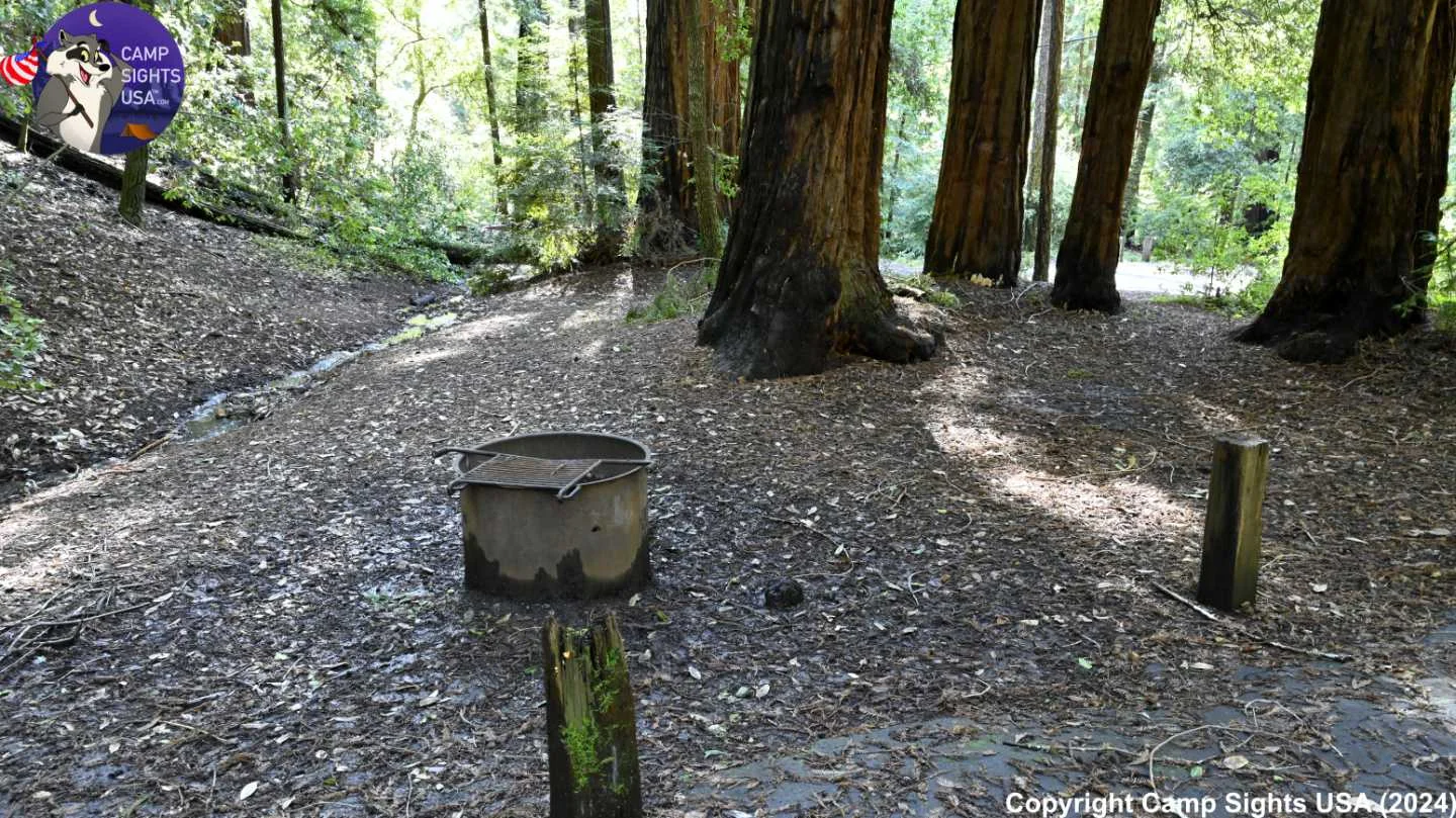 Portola Redwoods Site #43