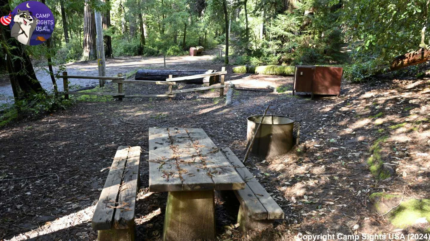 Portola Redwoods Site #44