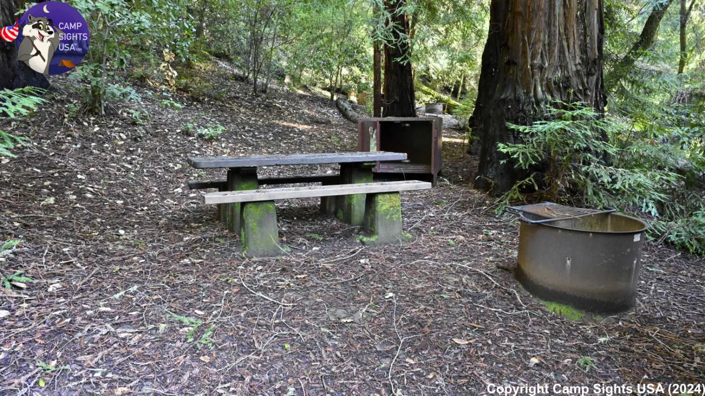 Portola Redwoods Site #45