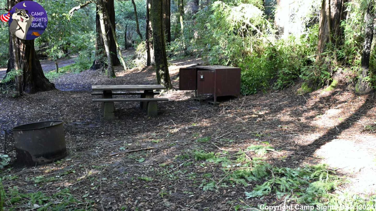 Portola Redwoods Site #46