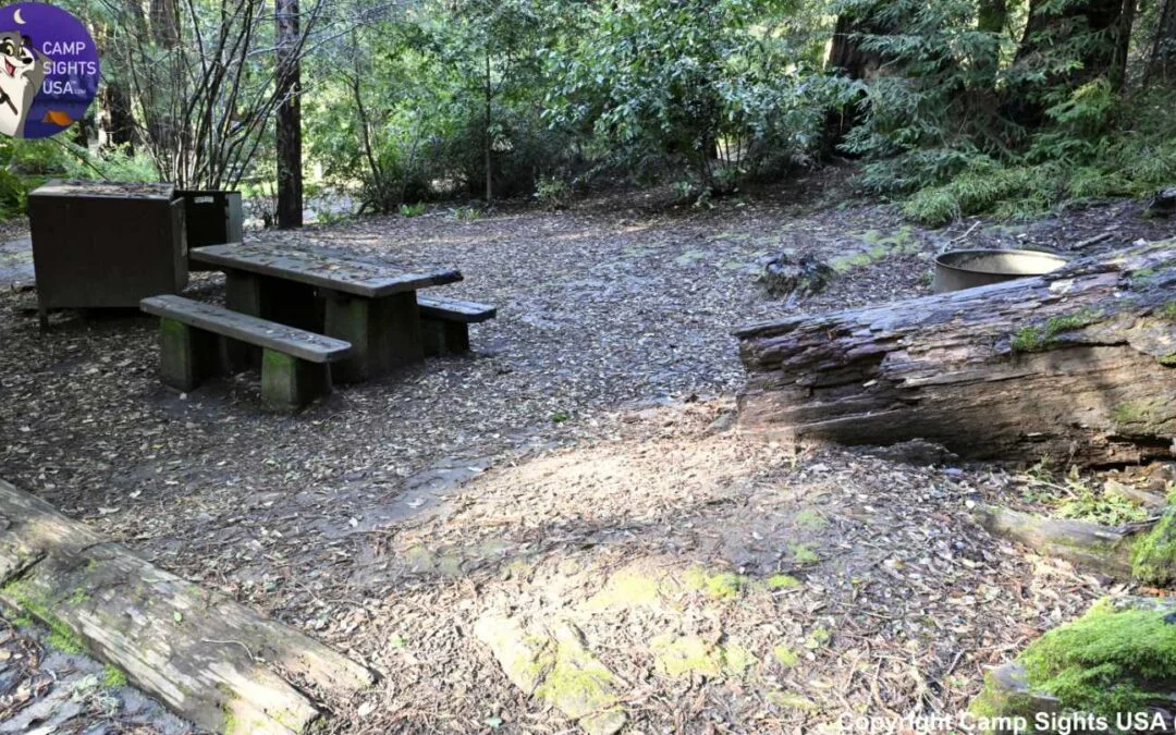 Portola Redwoods Site #47