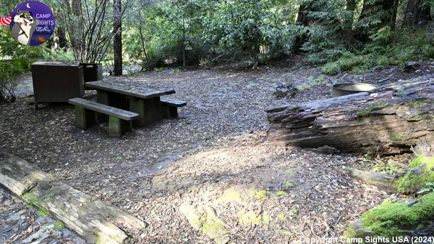 Portola Redwoods Site #47