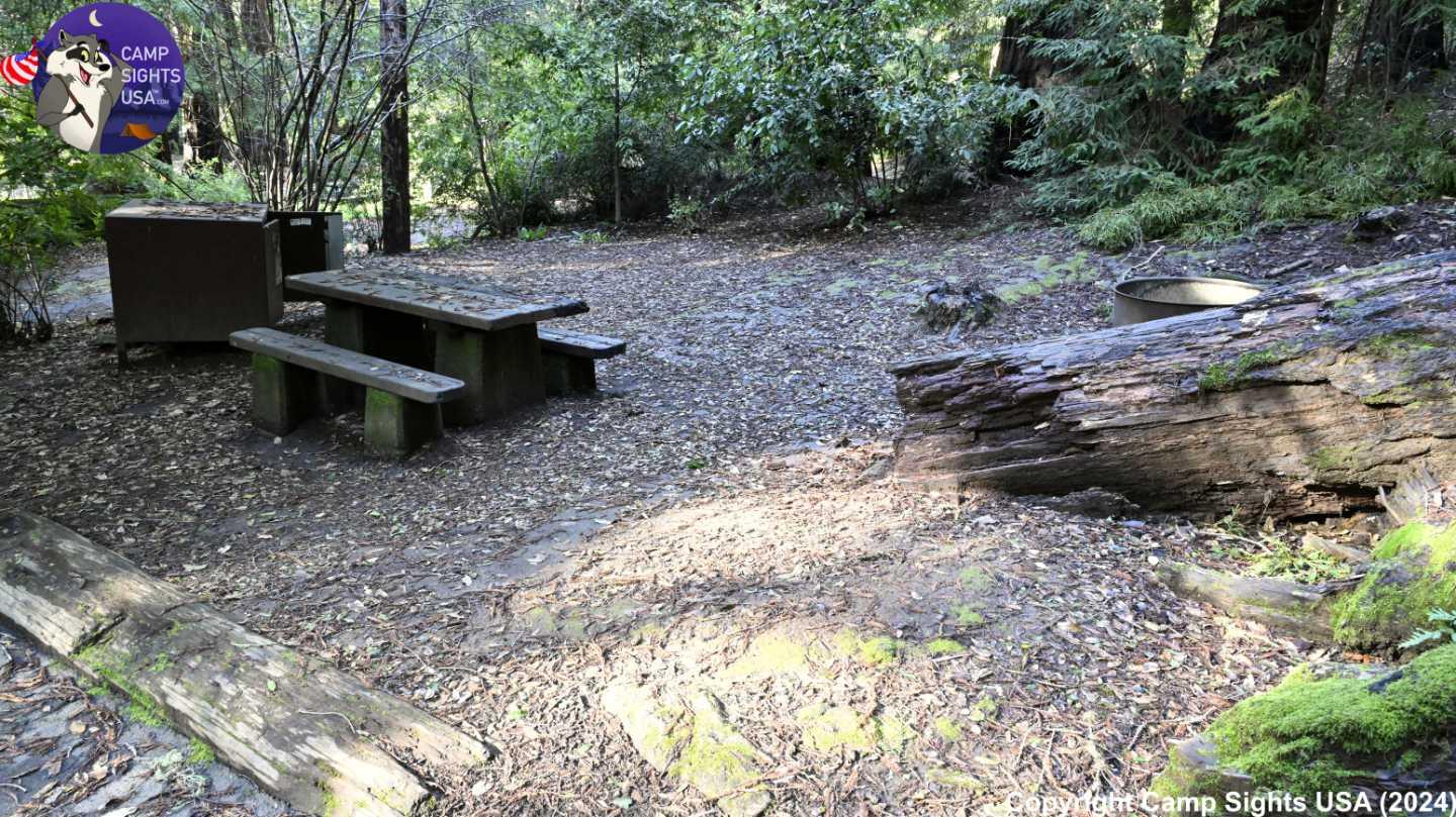 Portola Redwoods Site #47