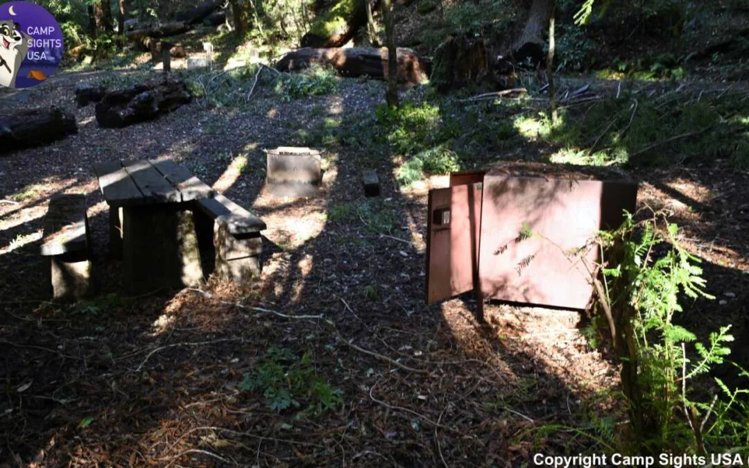 Portola Redwoods Site #48
