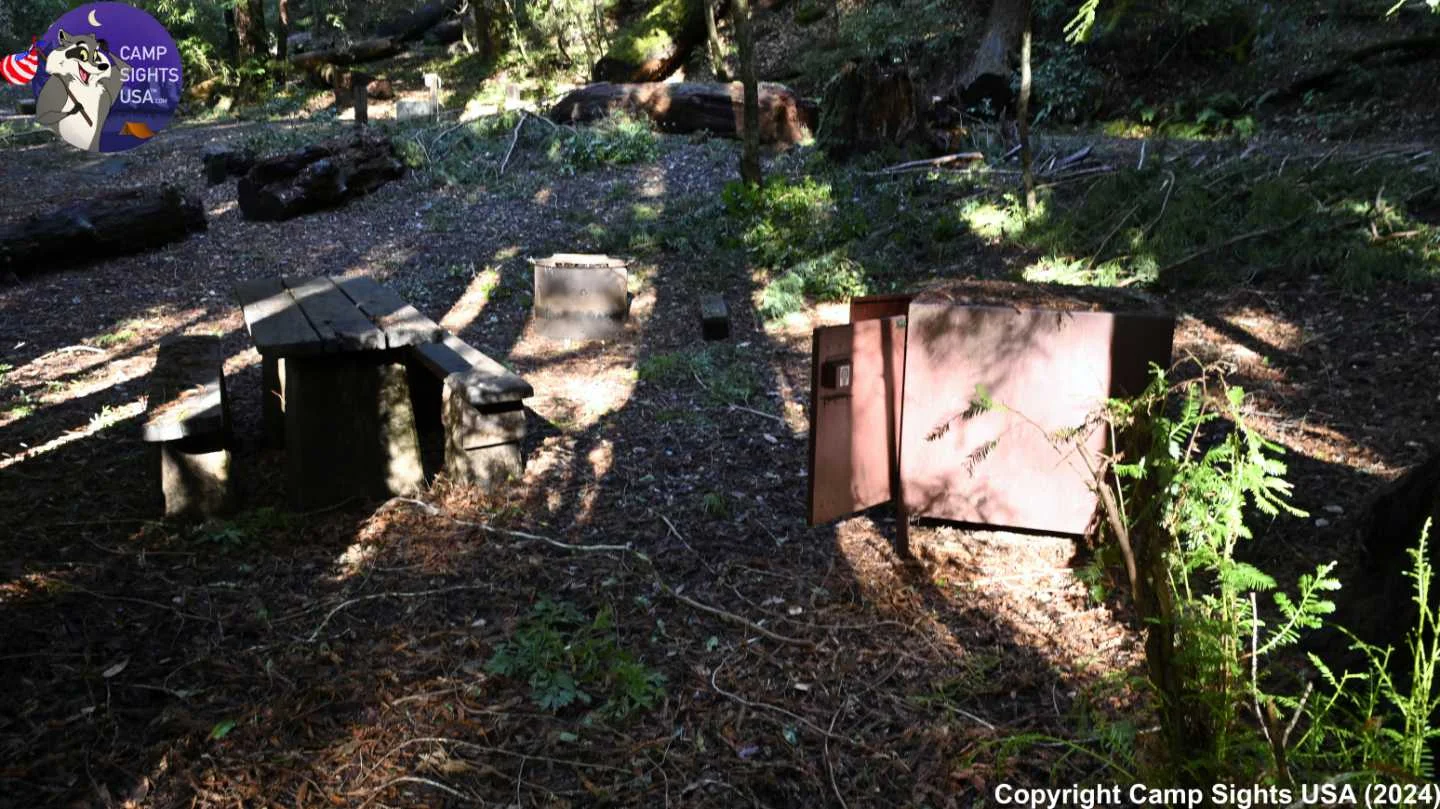 Portola Redwoods Site #48