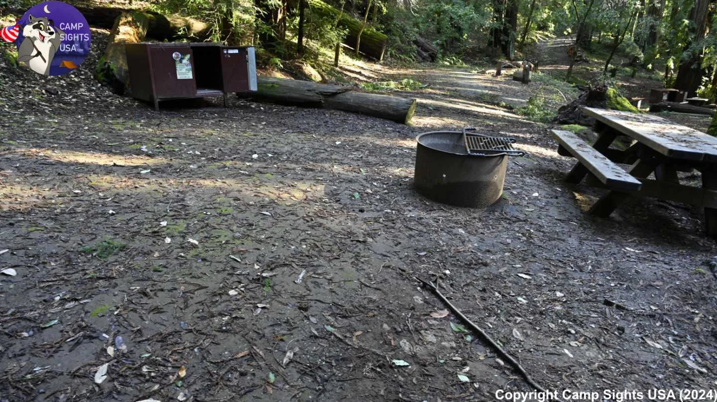 Portola Redwoods Site #49