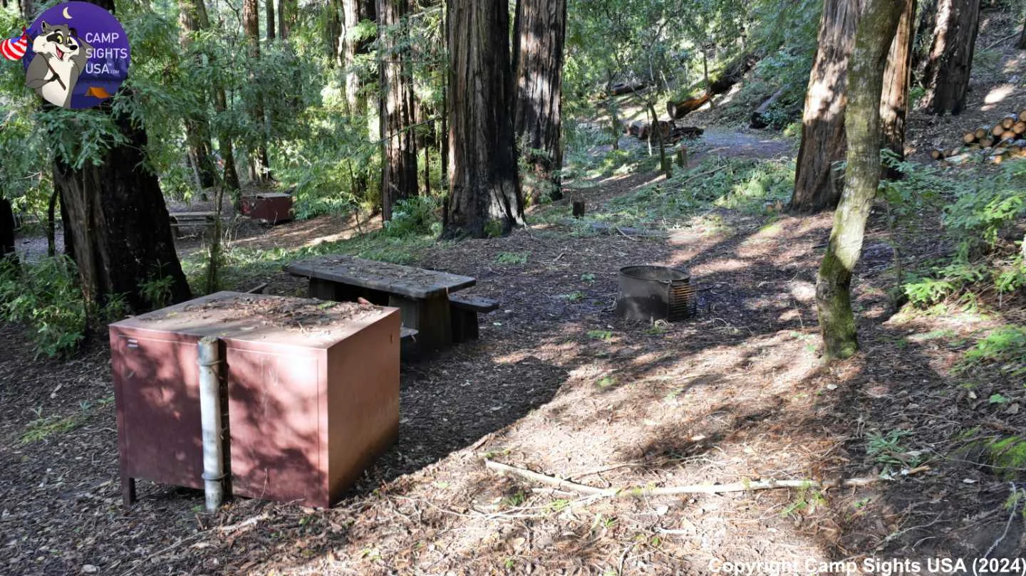 Portola Redwoods Site #50