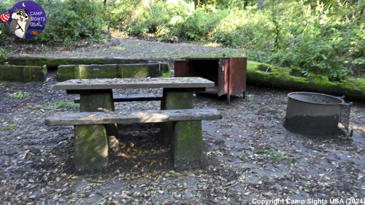 Portola Redwoods Site #52