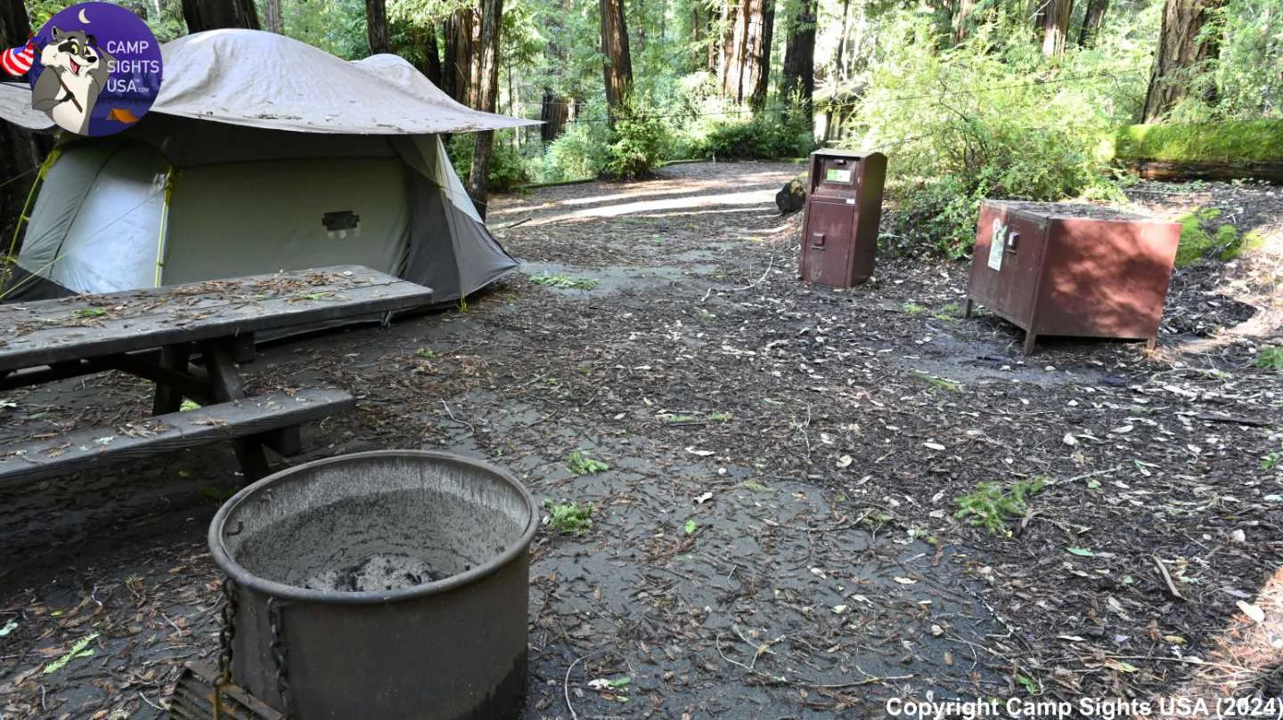 Portola Redwoods Site #53