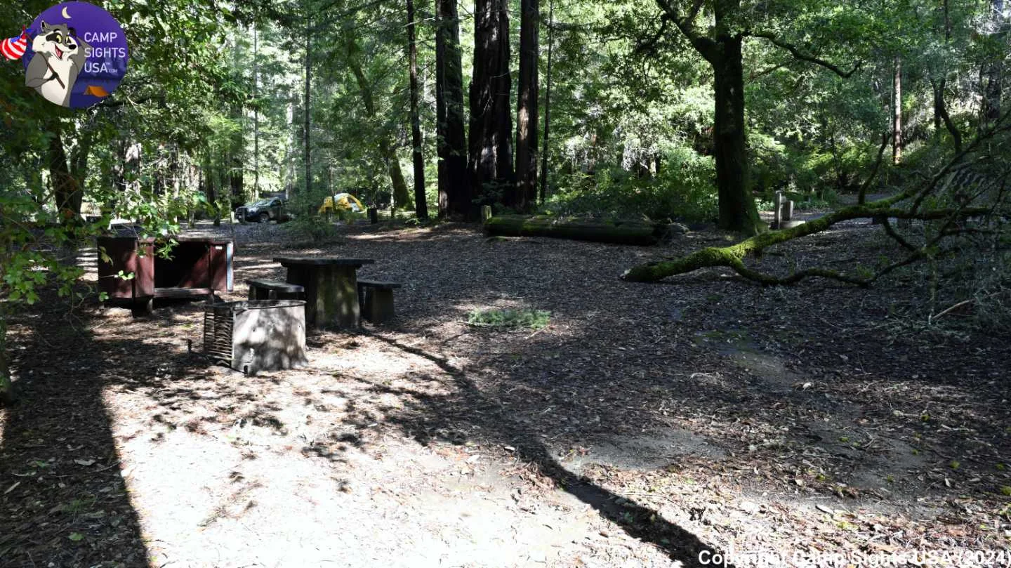 Portola Redwoods Site #6