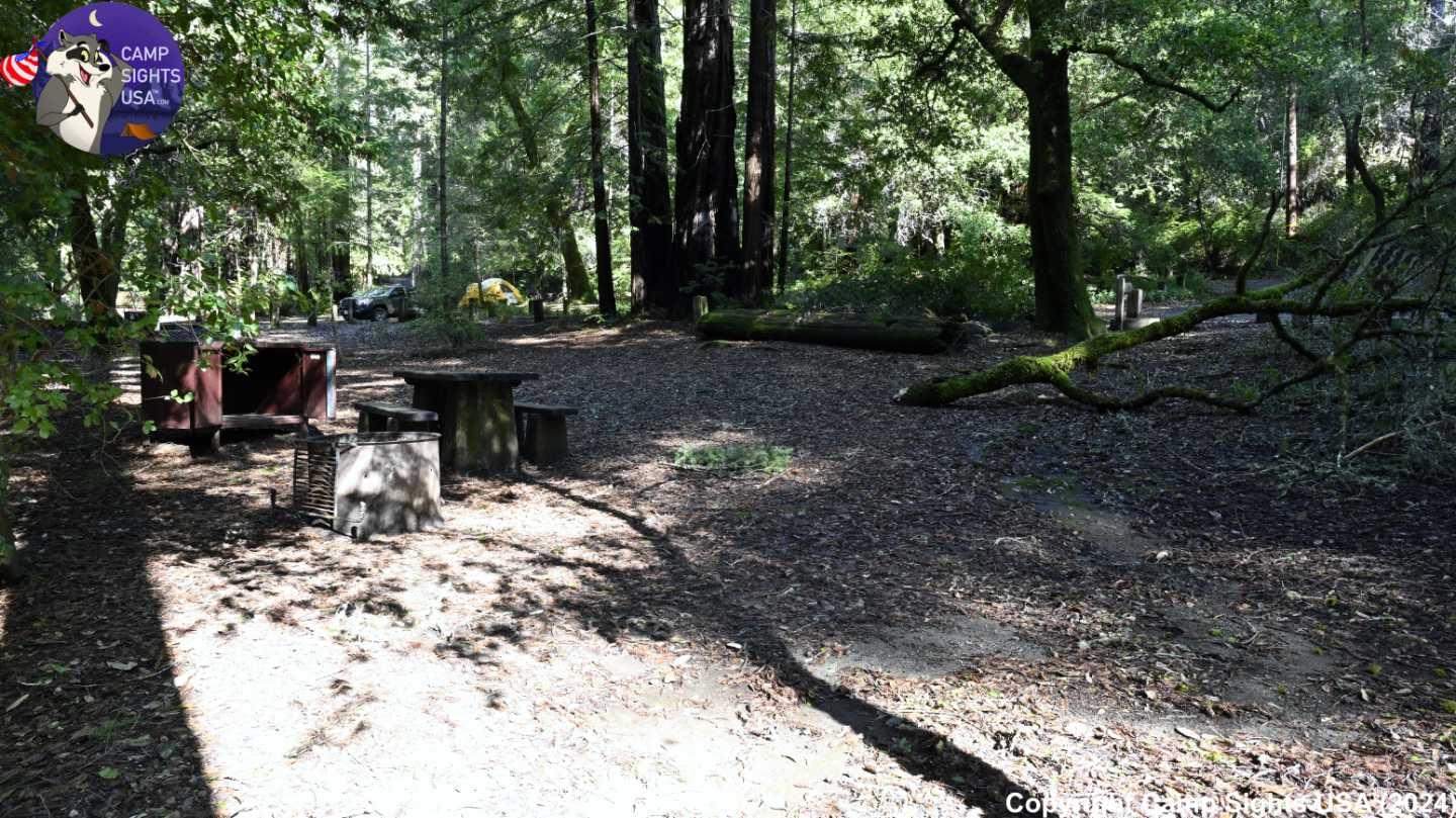 Portola Redwoods Site #6