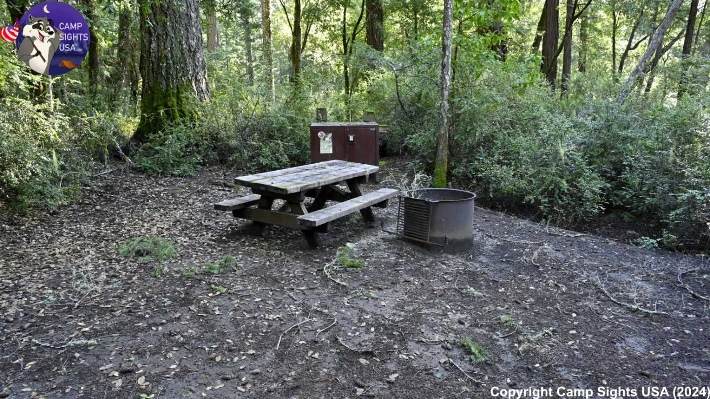 Portola Redwoods Site #61