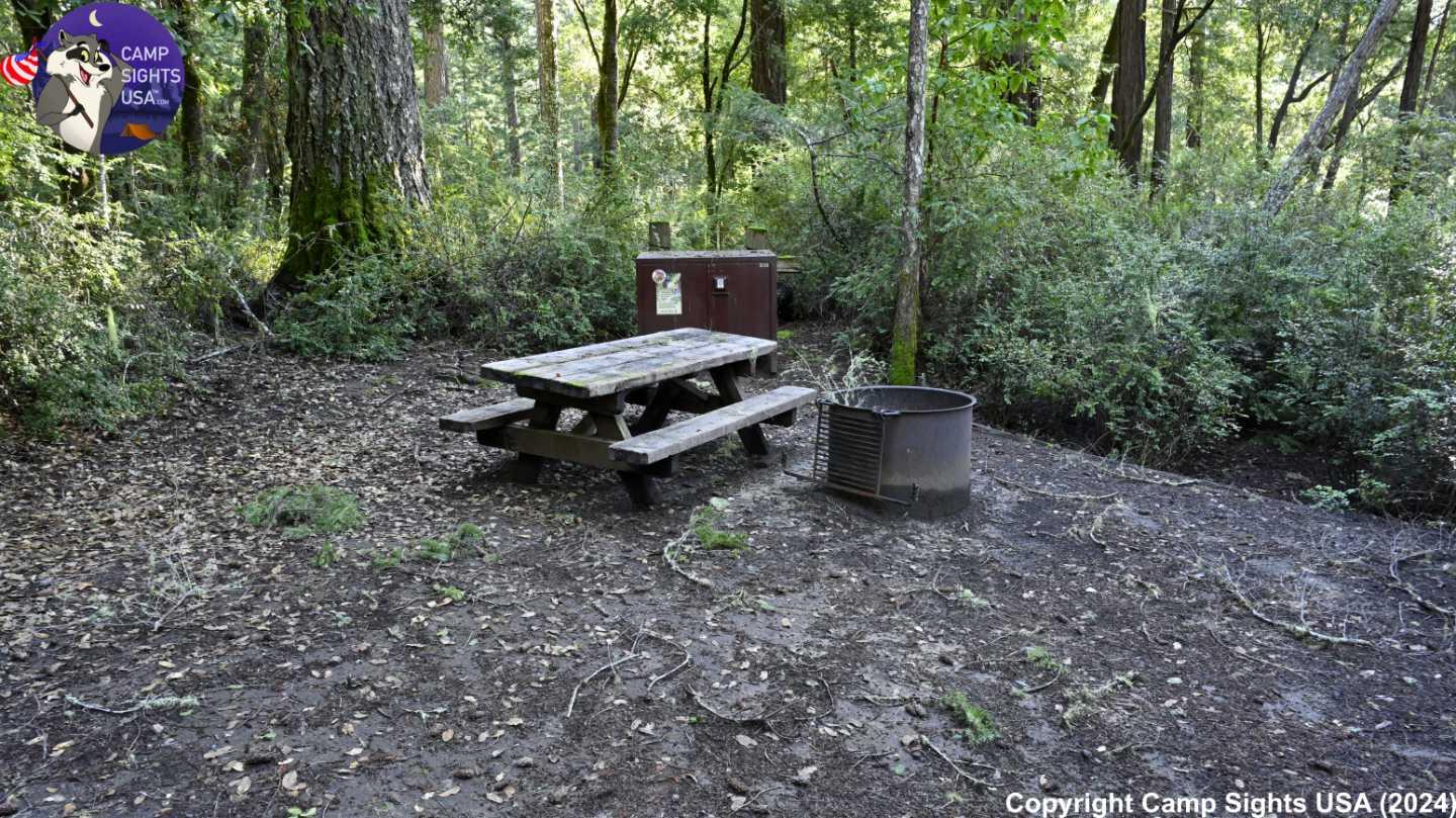 Portola Redwoods Site #61