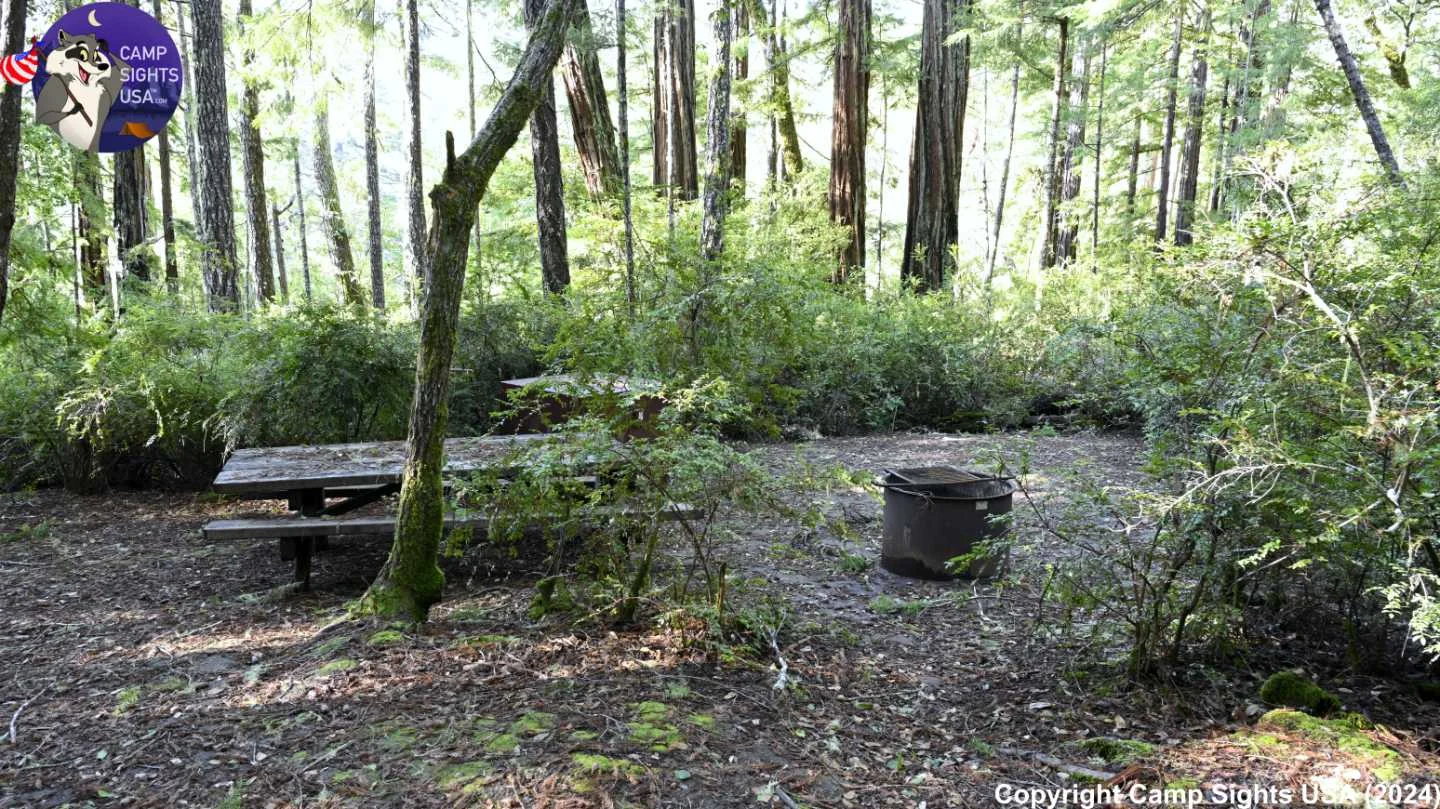Portola Redwoods Site #62