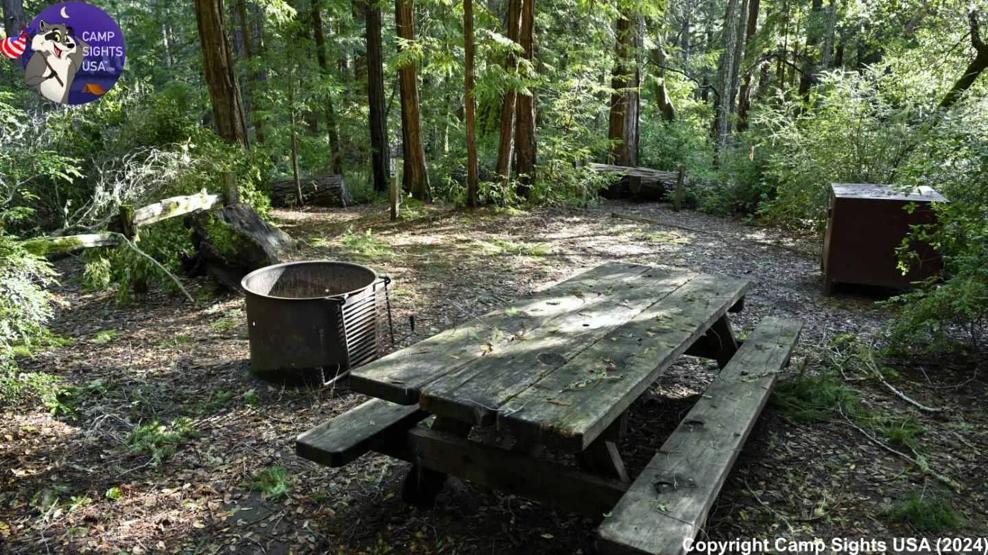 Portola Redwoods Site #63