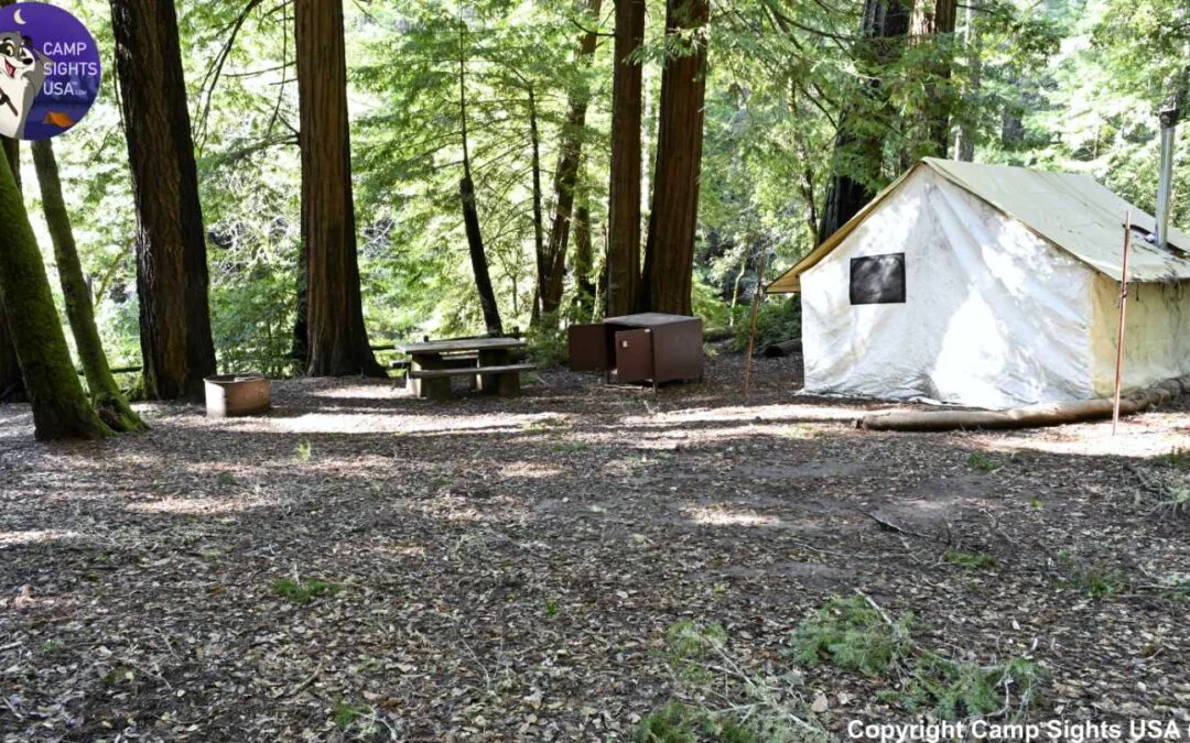 Portola Redwoods Site #8