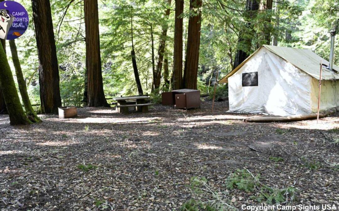 Portola Redwoods Site #8