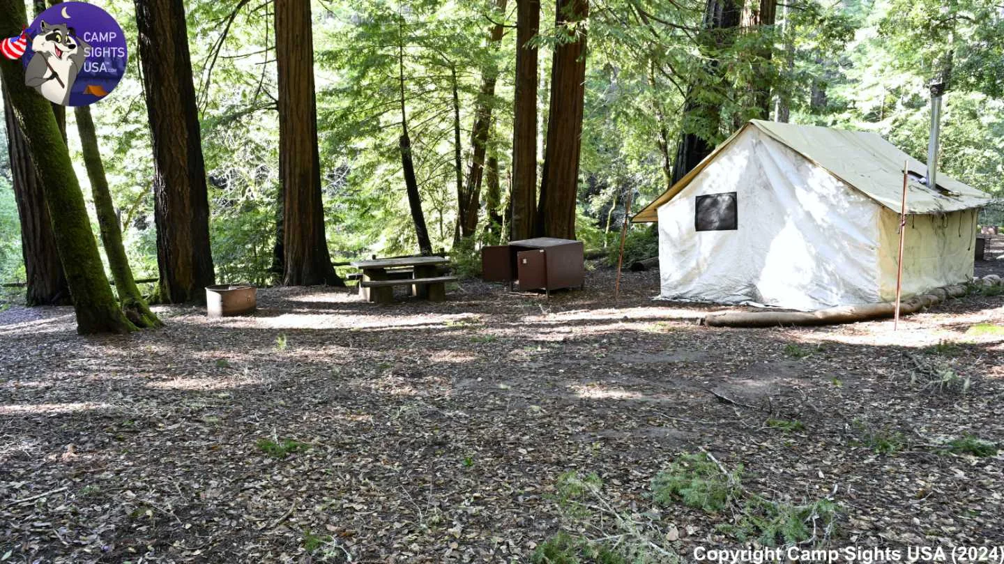 Portola Redwoods Site #8