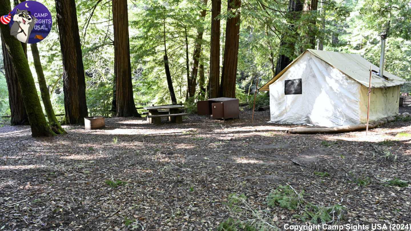 Portola Redwoods Site #8