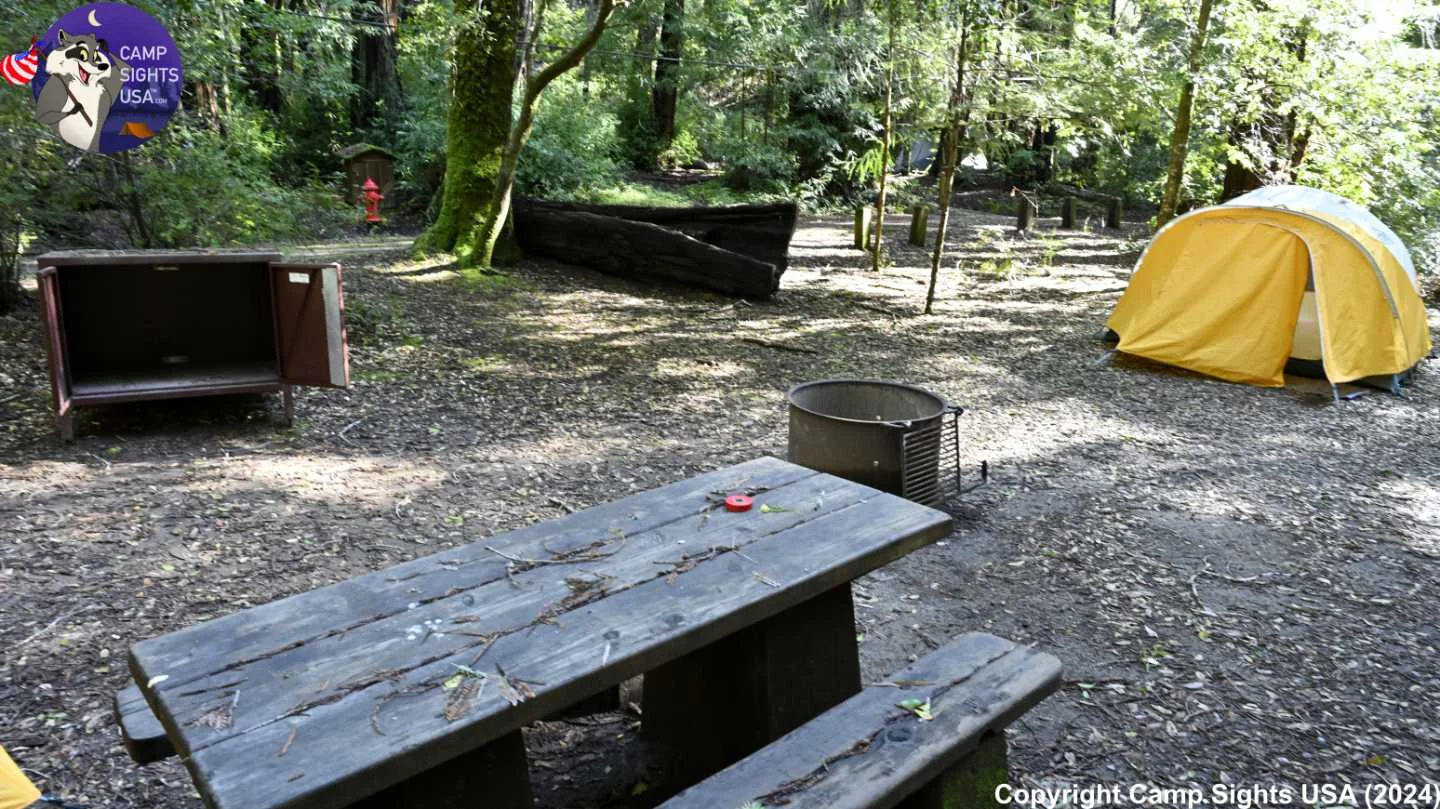 Portola Redwoods Site #9