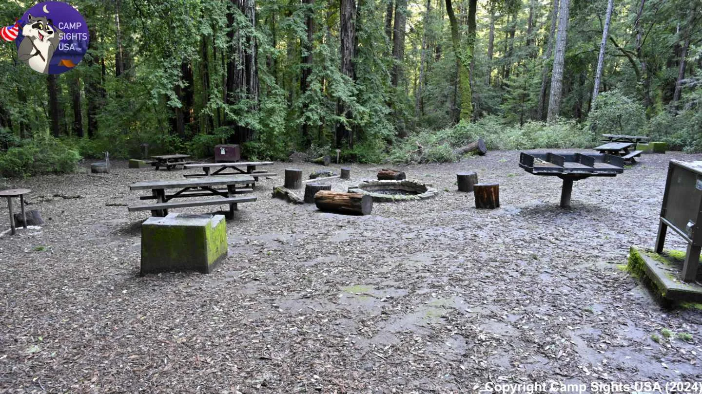 Portola Redwoods Site Hillside