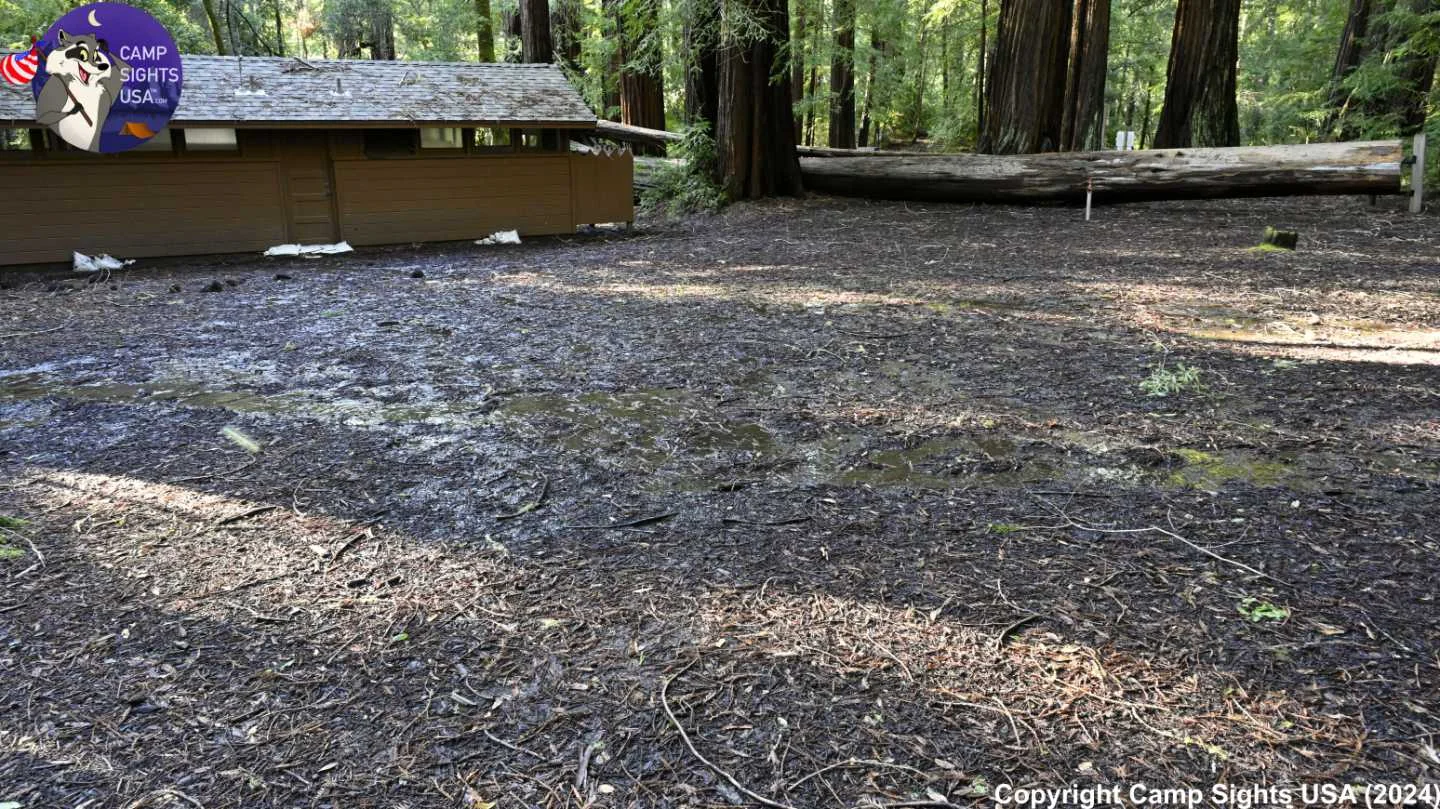 Portola Redwoods Site Circle