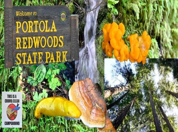 Portola