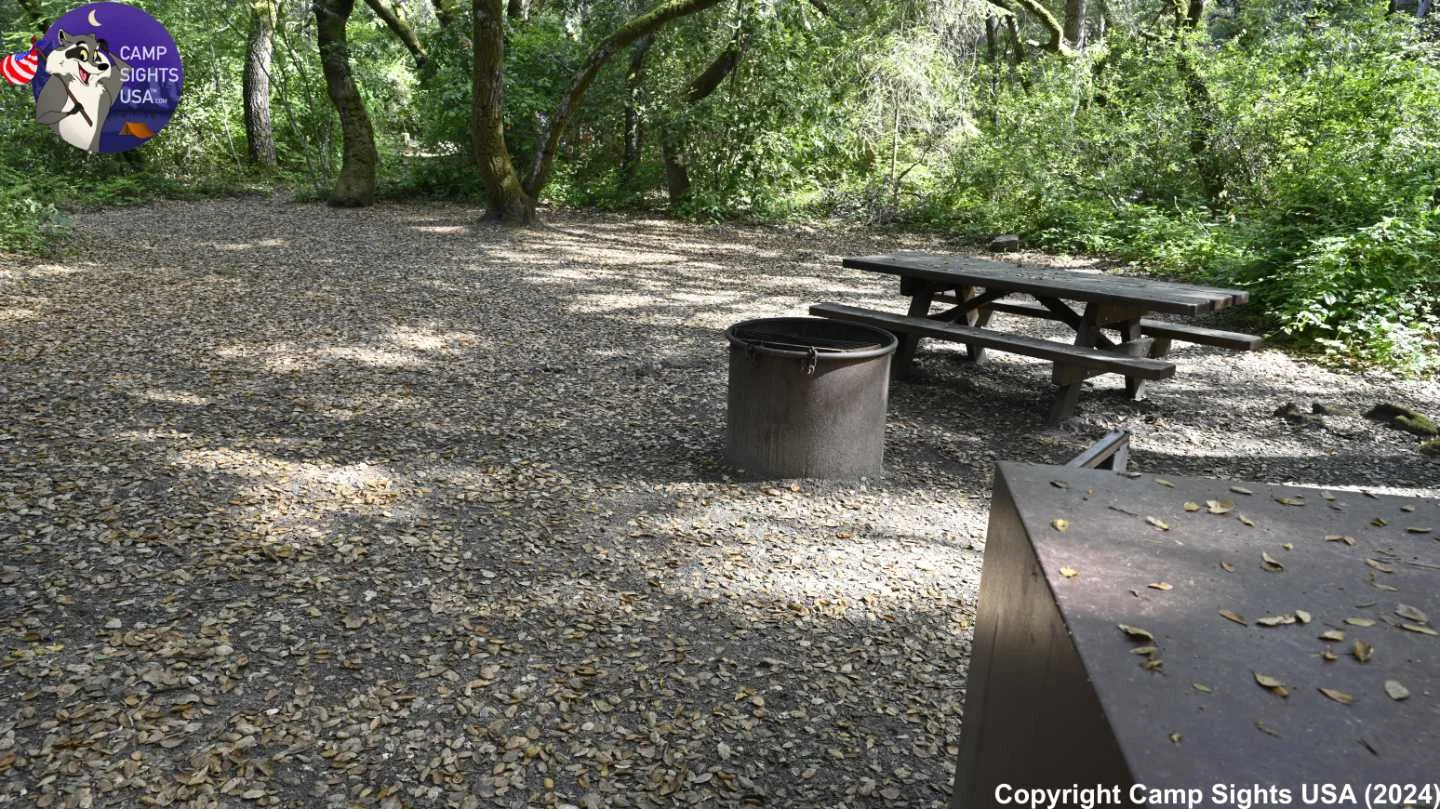 Henry Cowell State Park #2