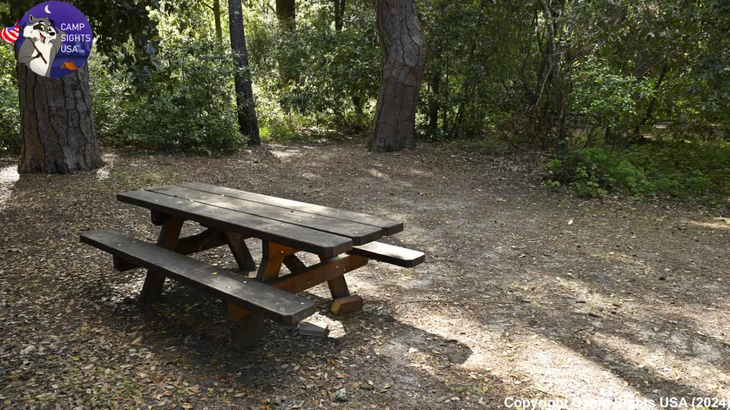 Henry Cowell State Park #3