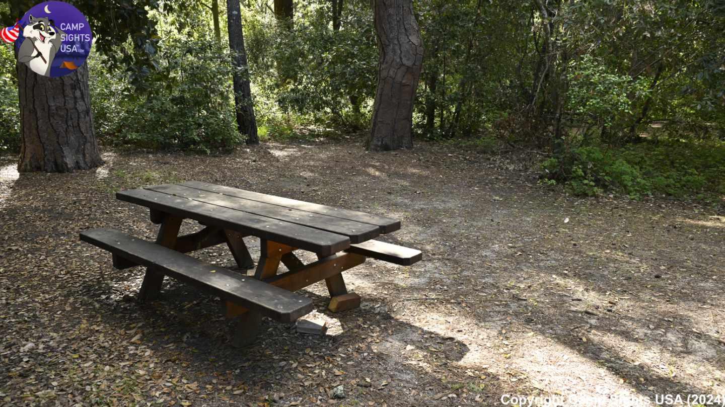 Henry Cowell State Park #3