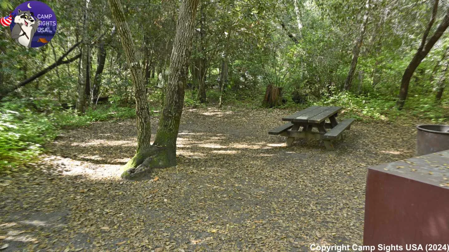 Henry Cowell State Park #4