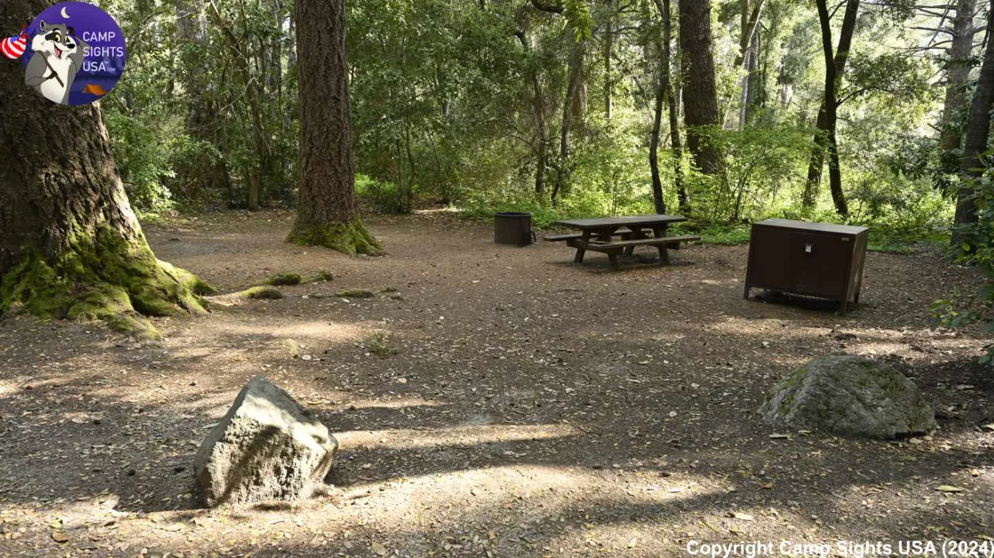 Henry Cowell State Park #5