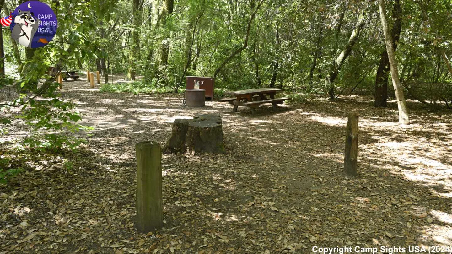 Henry Cowell State Park #6