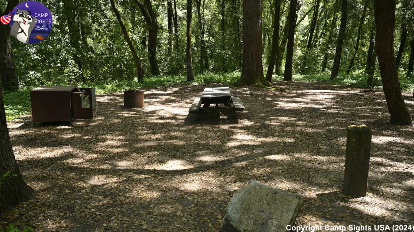 Henry Cowell State Park #7