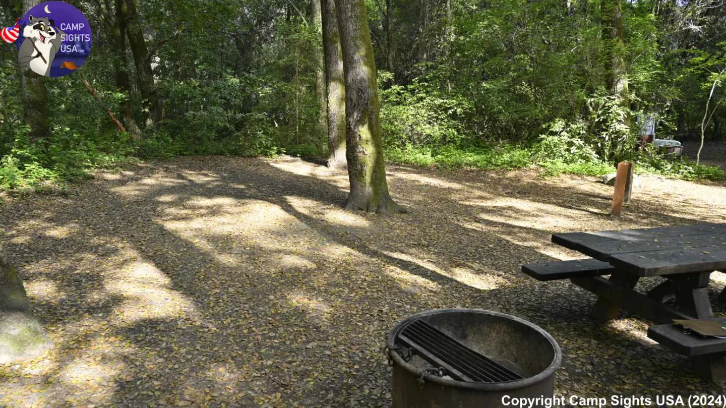Henry Cowell State Park #8