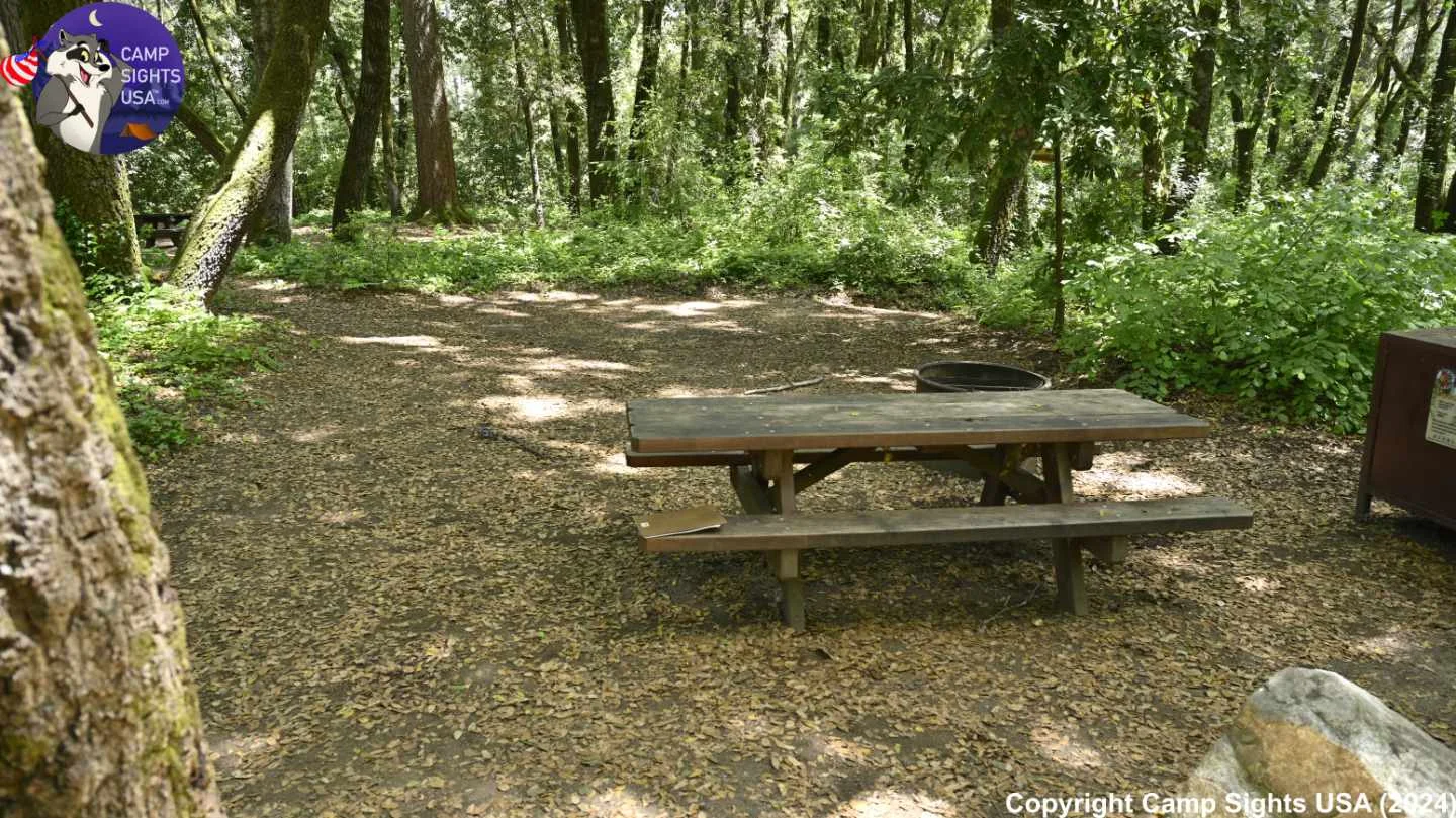 Henry Cowell State Park #9