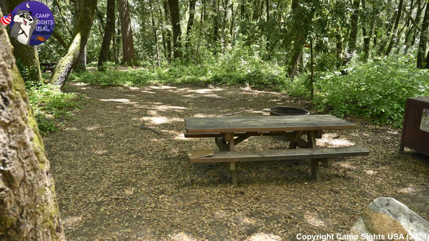 Henry Cowell State Park #9