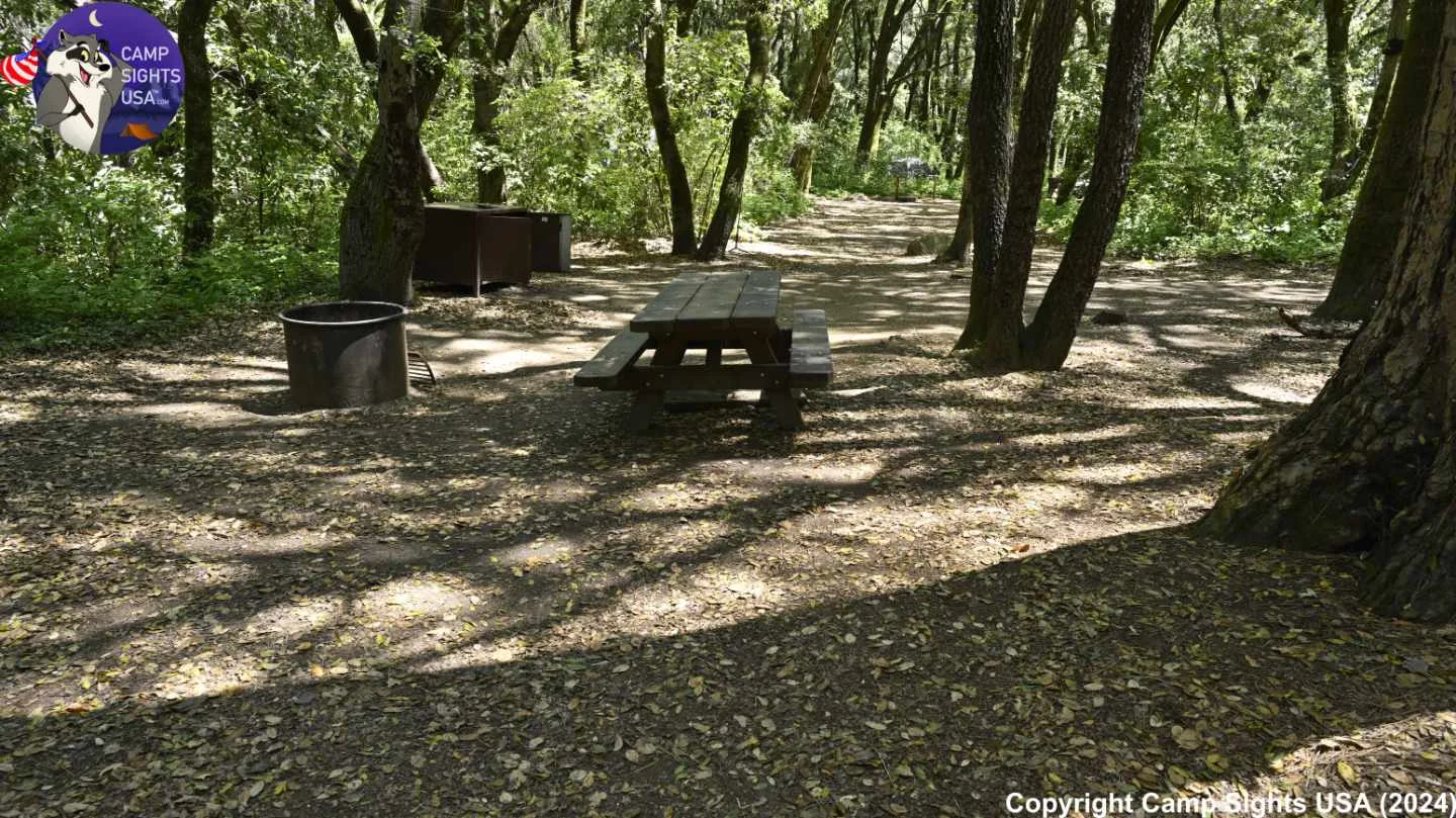 Henry Cowell State Park #10