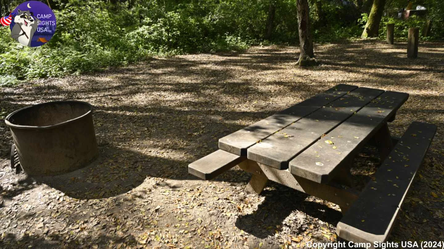 Henry Cowell State Park #11