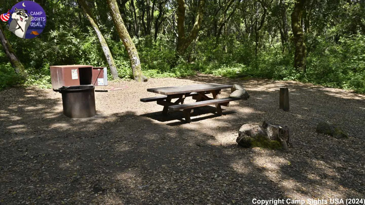 Henry Cowell State Park #12