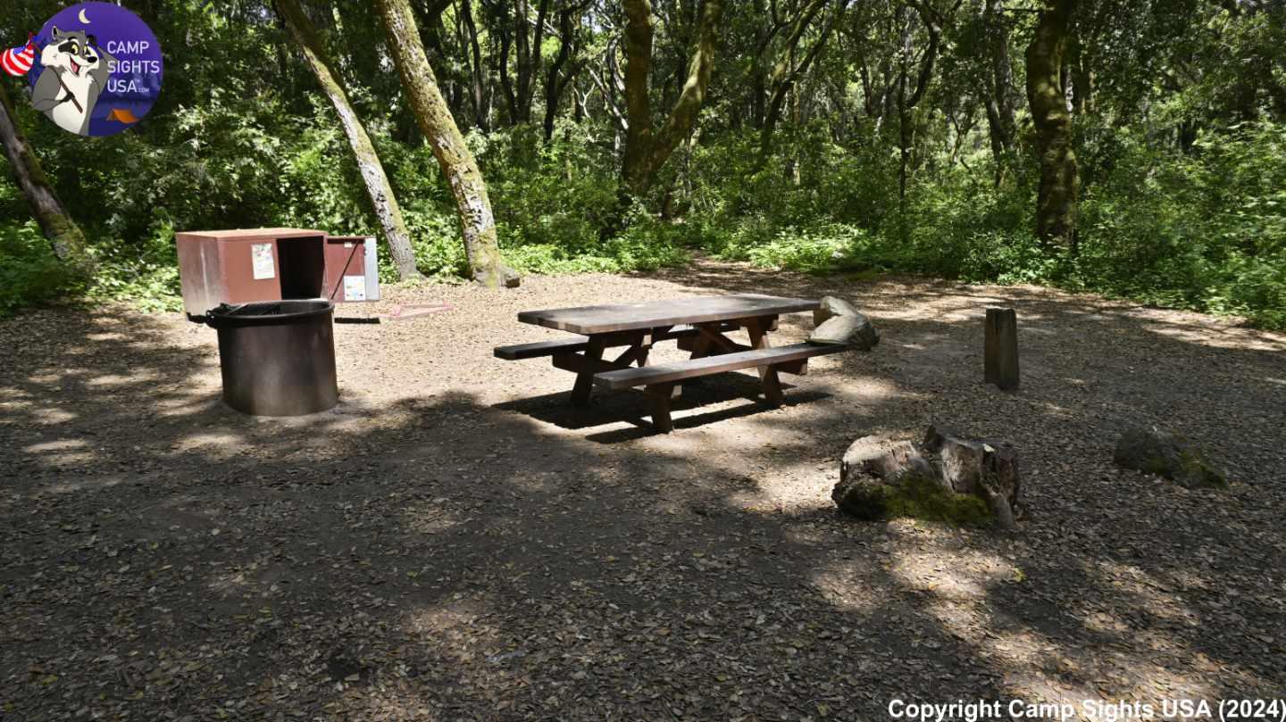 Henry Cowell State Park #12