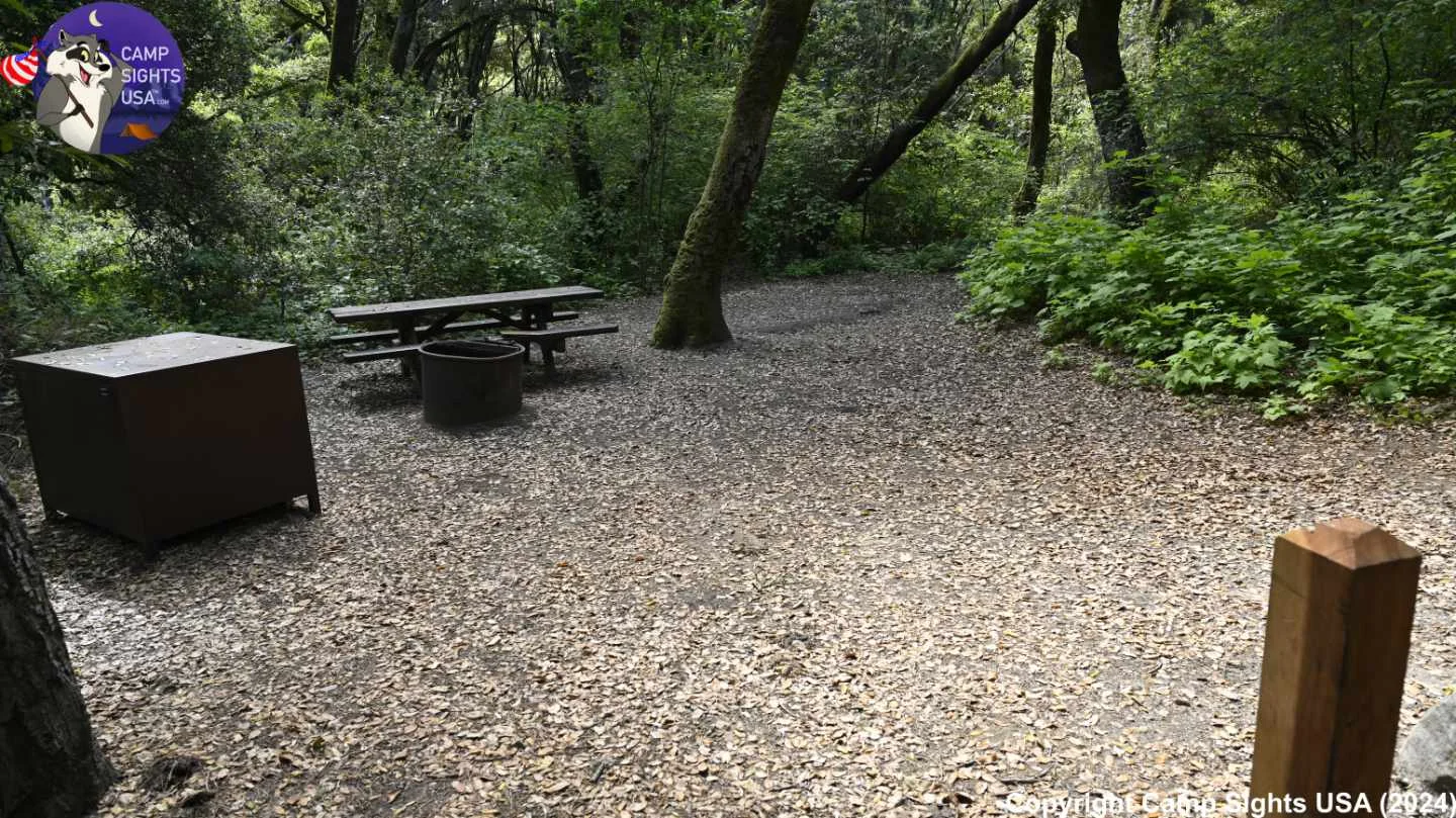 Henry Cowell State Park #13