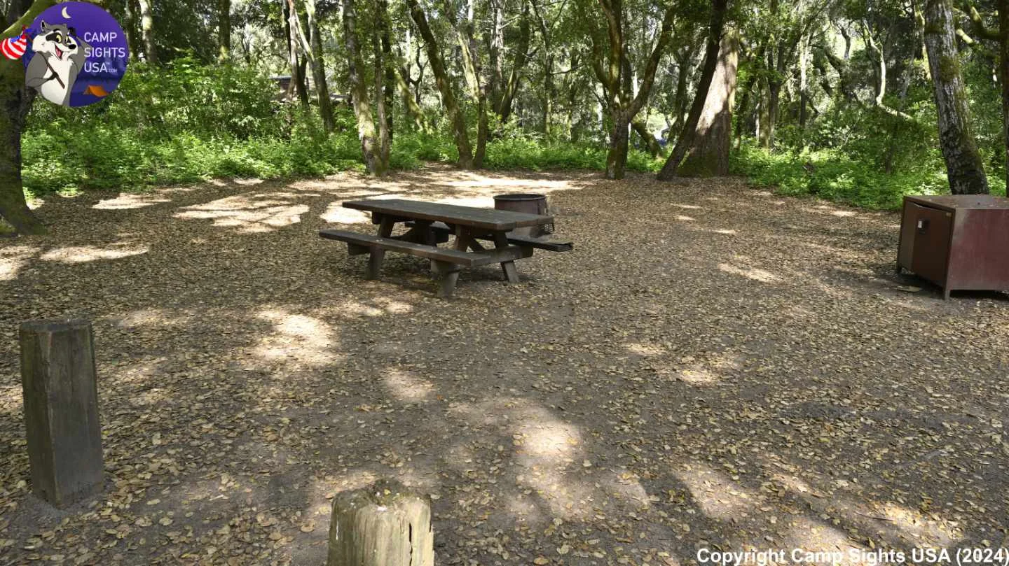 Henry Cowell State Park #14