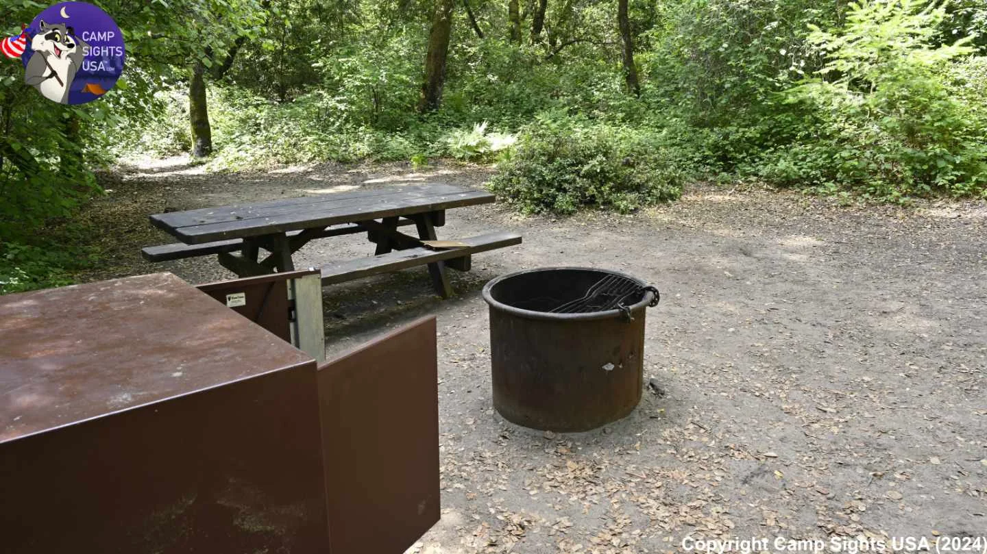 Henry Cowell State Park #15