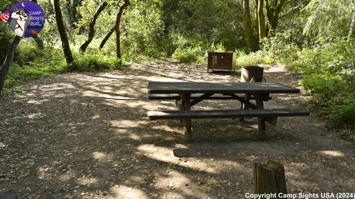 Henry Cowell State Park #16