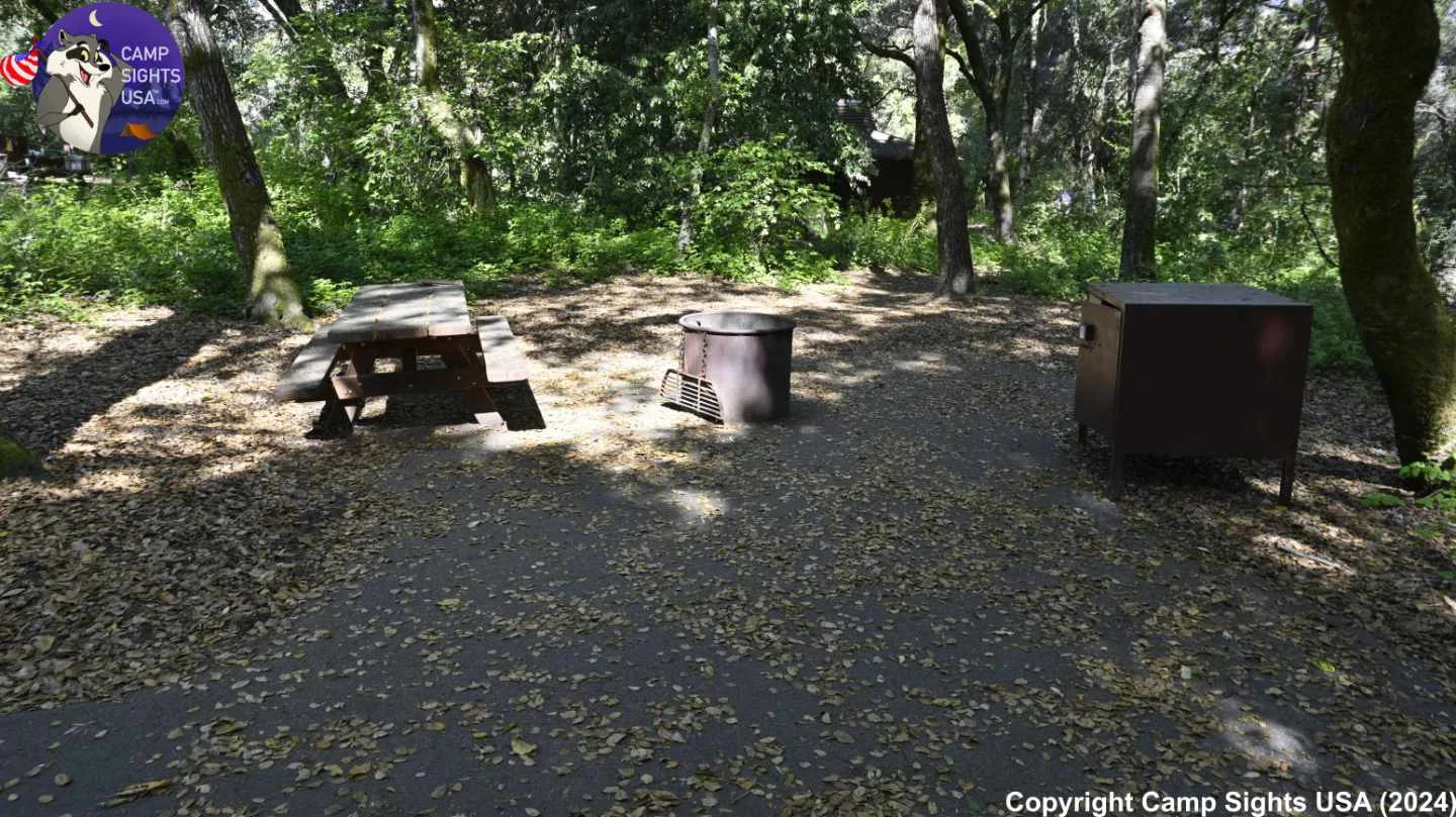 Henry Cowell State Park #17