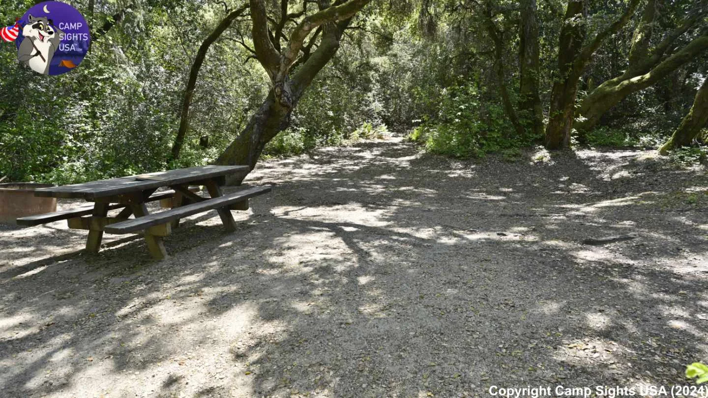 Henry Cowell State Park #18